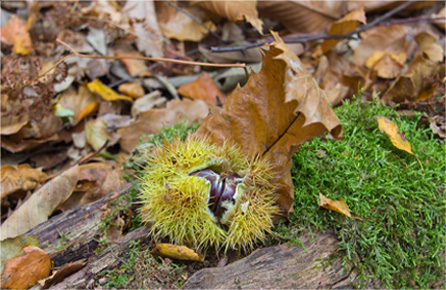 网站ddos隐藏源ip