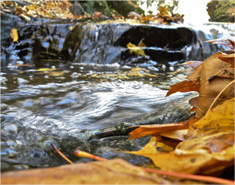 ddos压力测试网页端